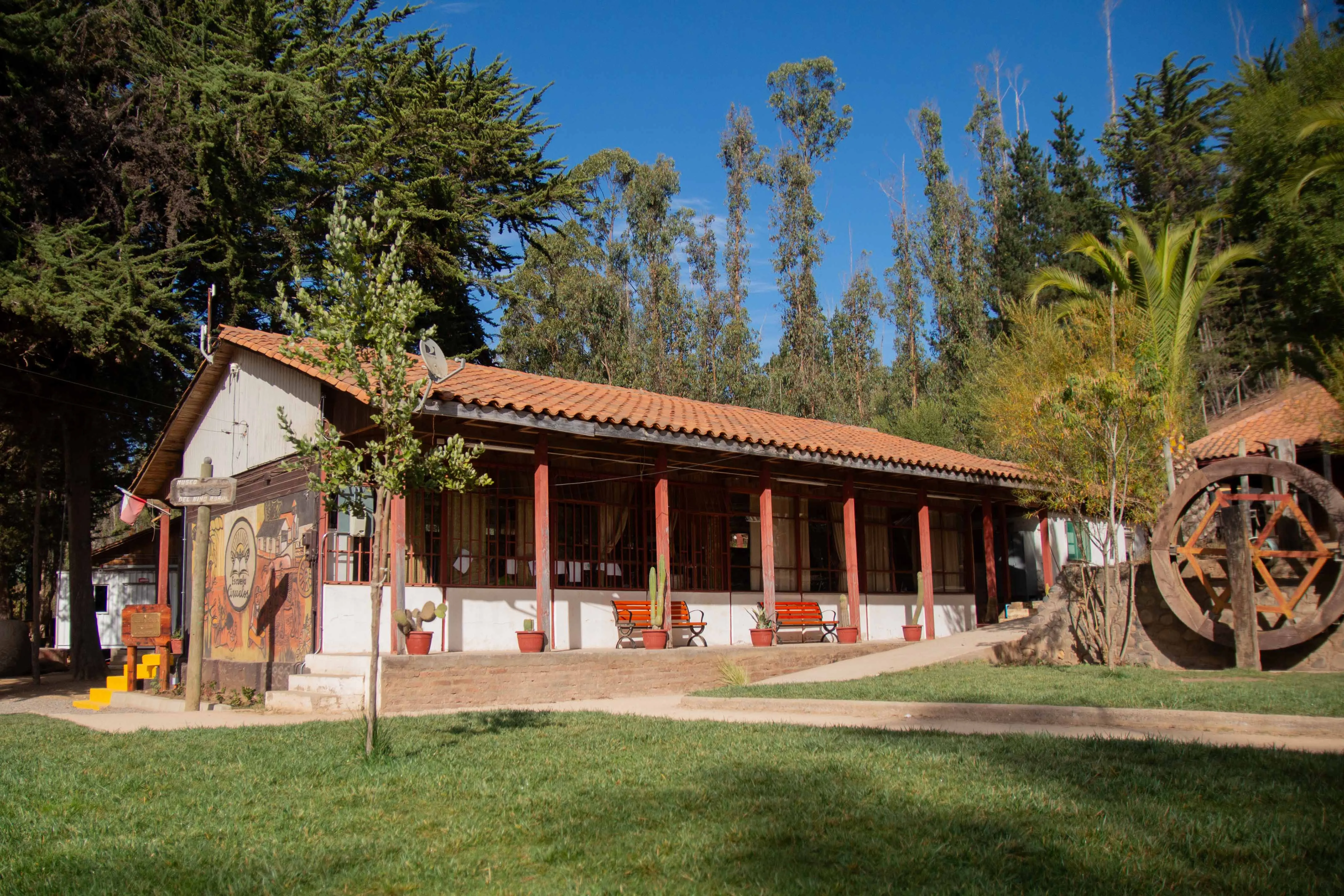 Escuela Ciruelo XII
